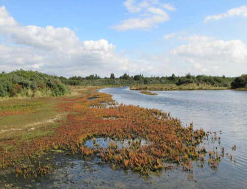 Natuur en landschap